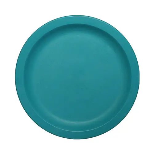 9 Inch MaxFlex Dinner Plate for Behavioral Health and Memory Care Facilities